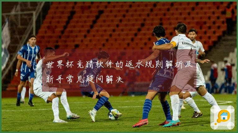 世界杯竞猜软件的返水规则解析及新手常见疑问解决