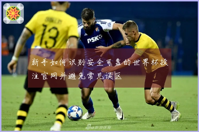 新手如何识别安全可靠的世界杯投注官网并避免常见误区
